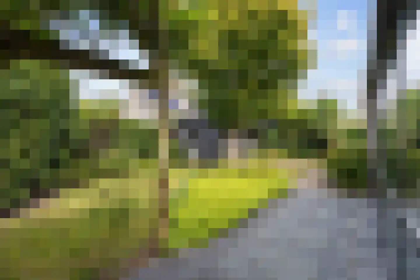 Galjoen 1 Zuidhorn thumbnail 56