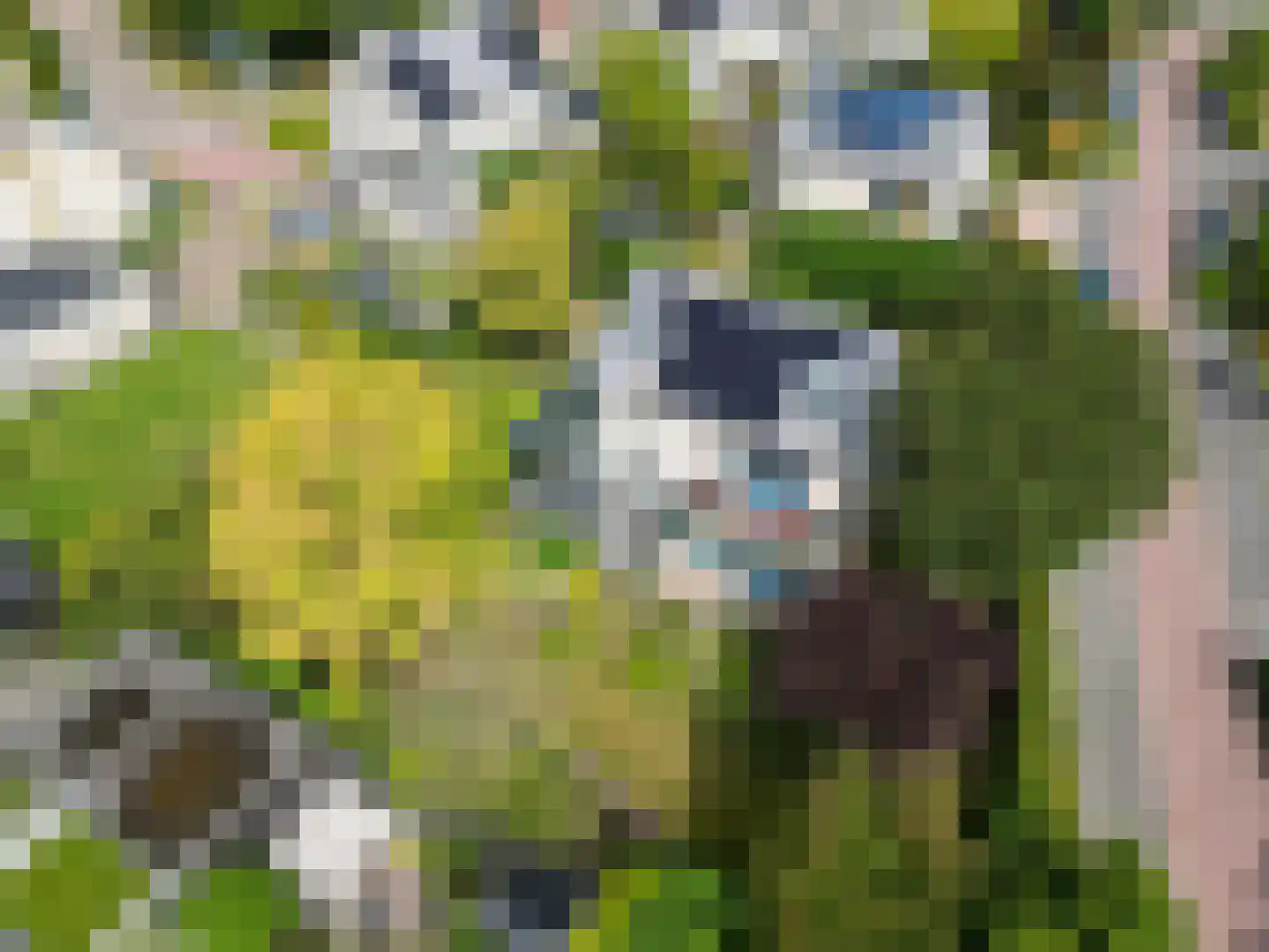 Galjoen 1 Zuidhorn thumbnail 61