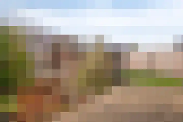 Galjoen 10 10 7 Lelystad thumbnail 24
