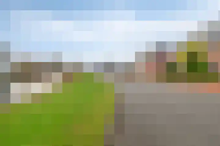 Galjoen 10 10 7 Lelystad thumbnail 29