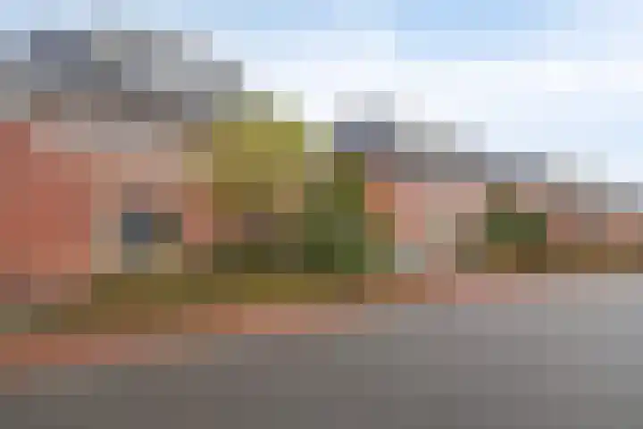 Galjoen 10 10 7 Lelystad thumbnail 30