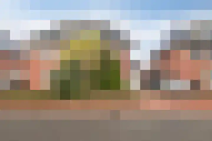 Galjoen 10 10 7 Lelystad thumbnail 31