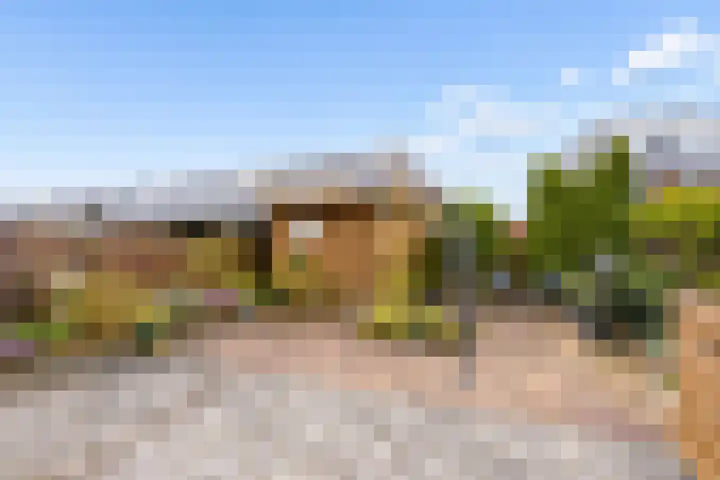 Galjoen 10 21 Lelystad thumbnail 4