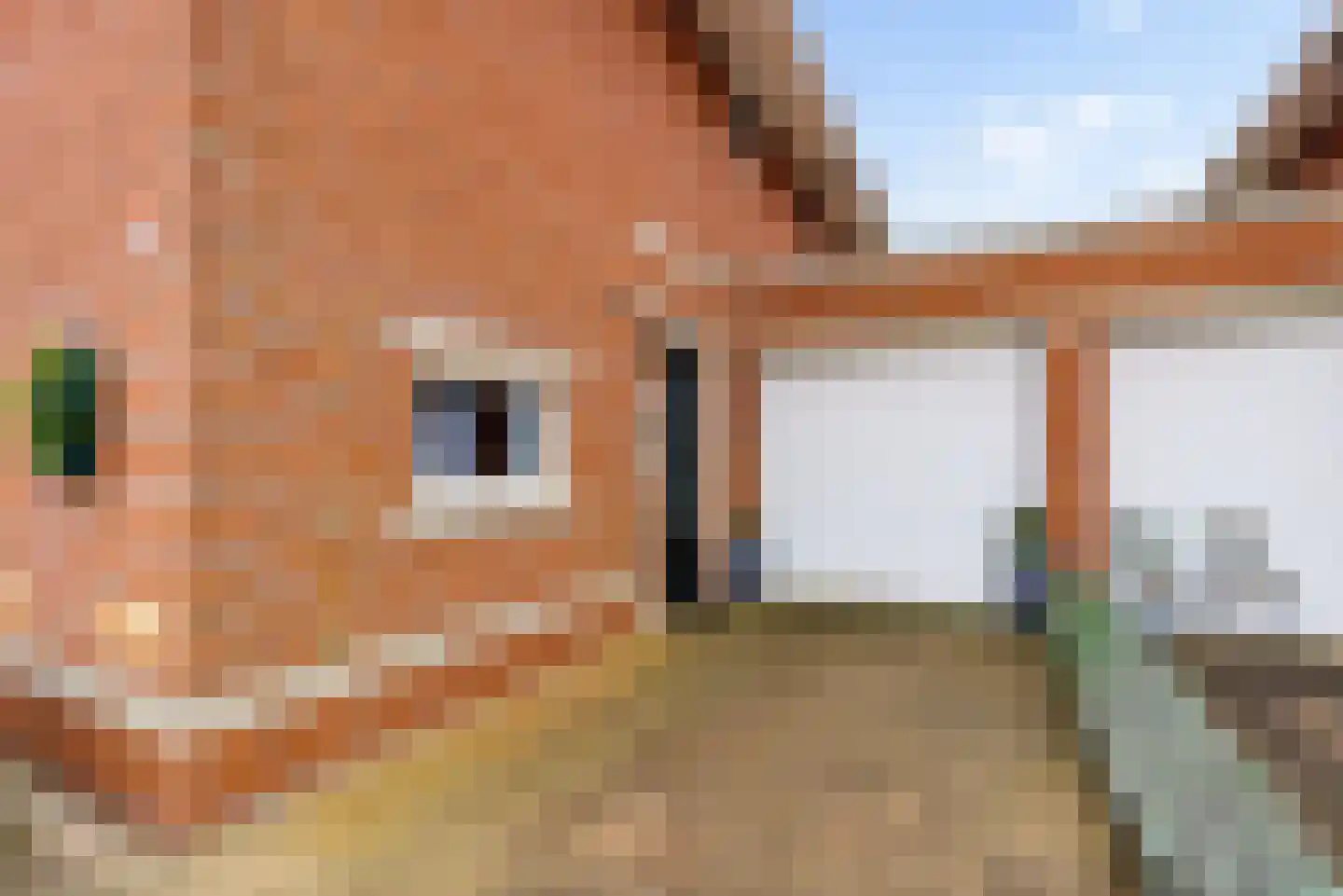 Galjoen 10 21 Lelystad thumbnail 7