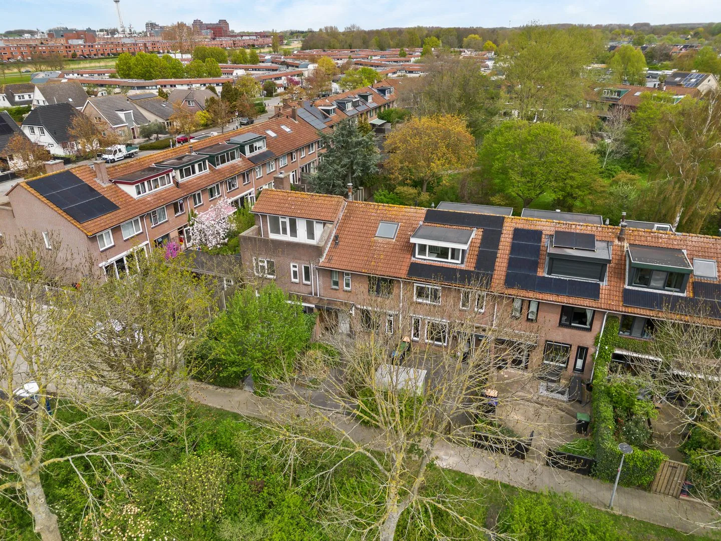 Galjoen 10 38 Lelystad thumbnail 5