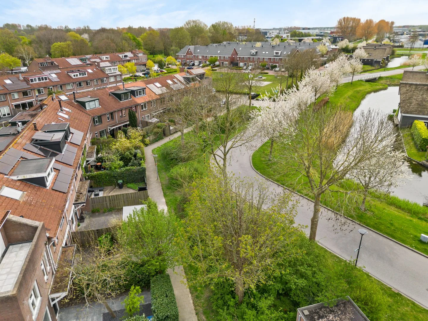 Galjoen 10 38 Lelystad thumbnail 7