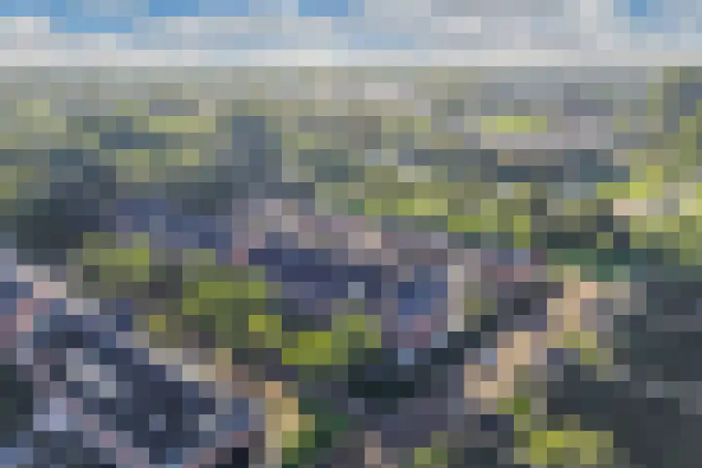 Galjoen 11 36 Lelystad thumbnail 58