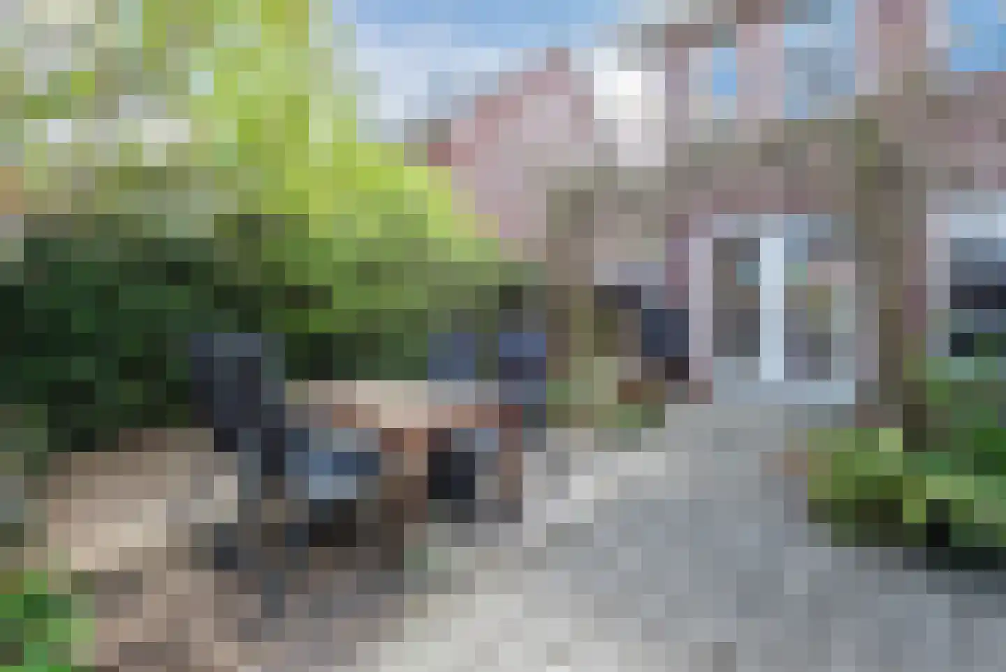 Galjoen 11 39 Lelystad thumbnail 20
