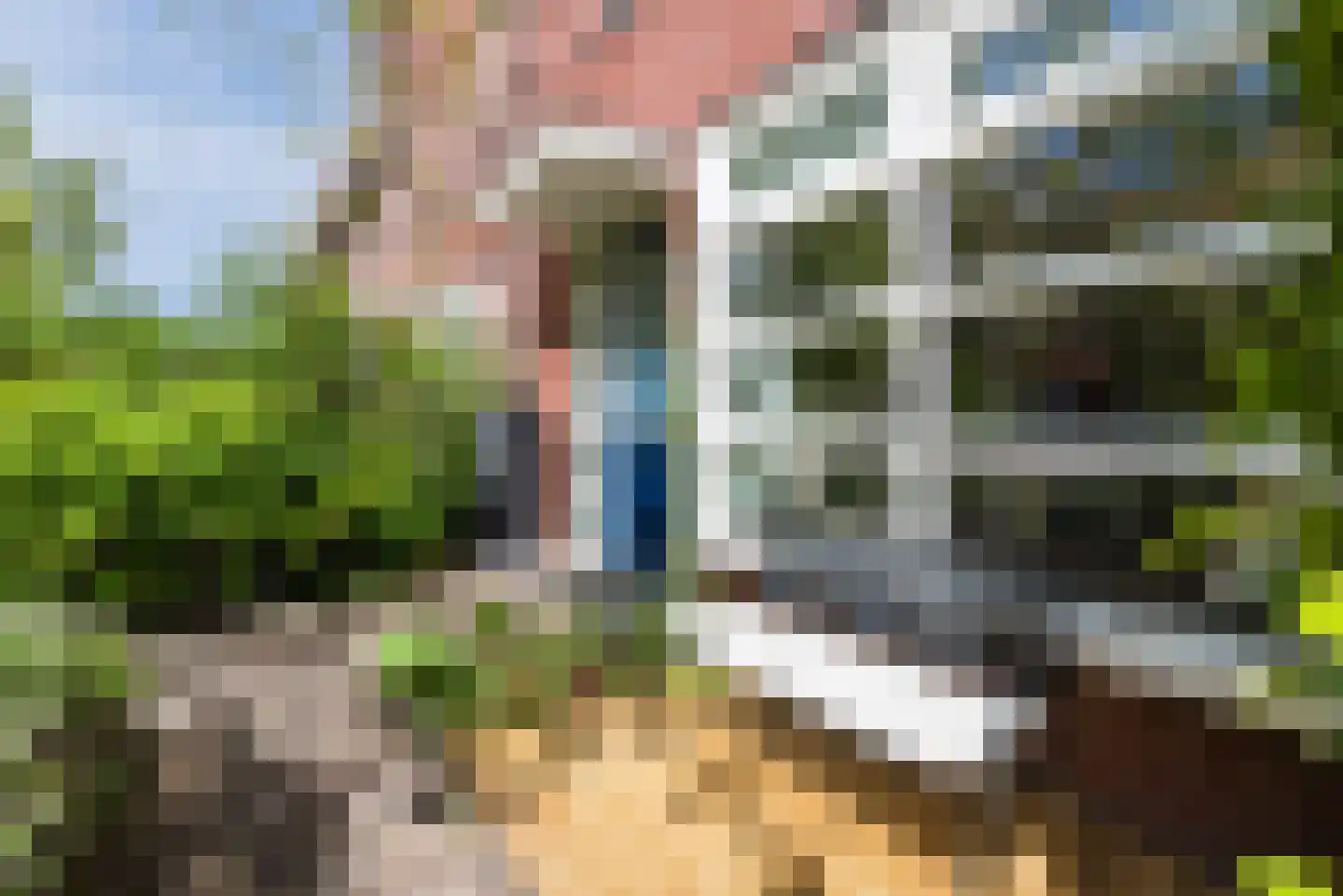 Galjoen 11 39 Lelystad thumbnail 52
