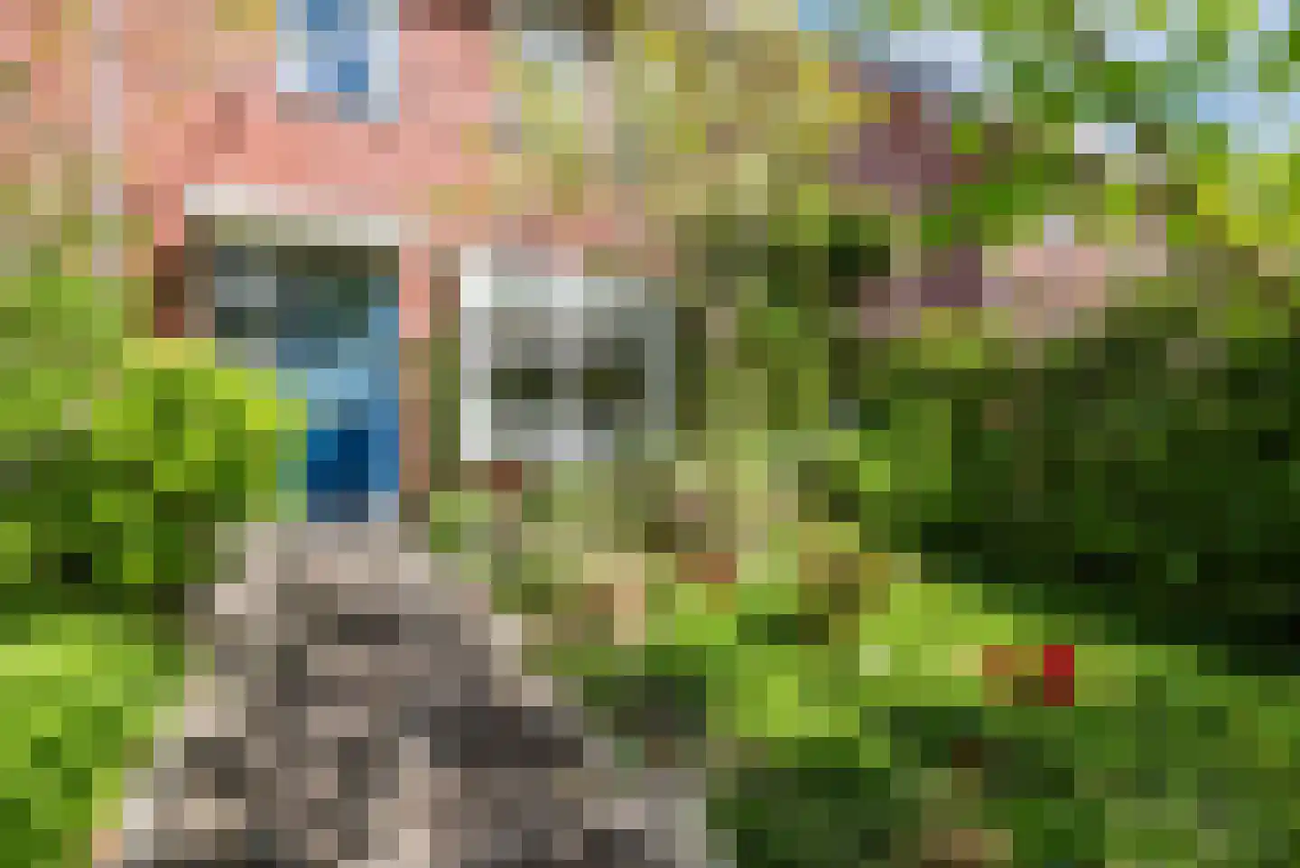 Galjoen 11 39 Lelystad thumbnail 55