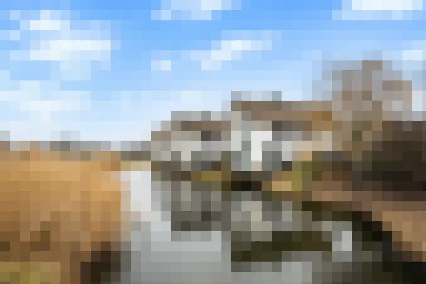 Galjoen 11 58 Lelystad thumbnail 30