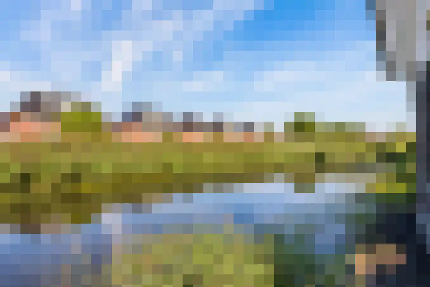 Galjoen 11 58 Lelystad thumbnail 30