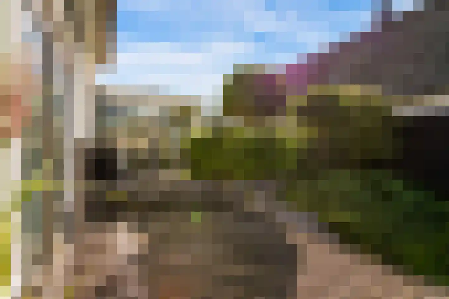 Galjoen 11 58 Lelystad thumbnail 34