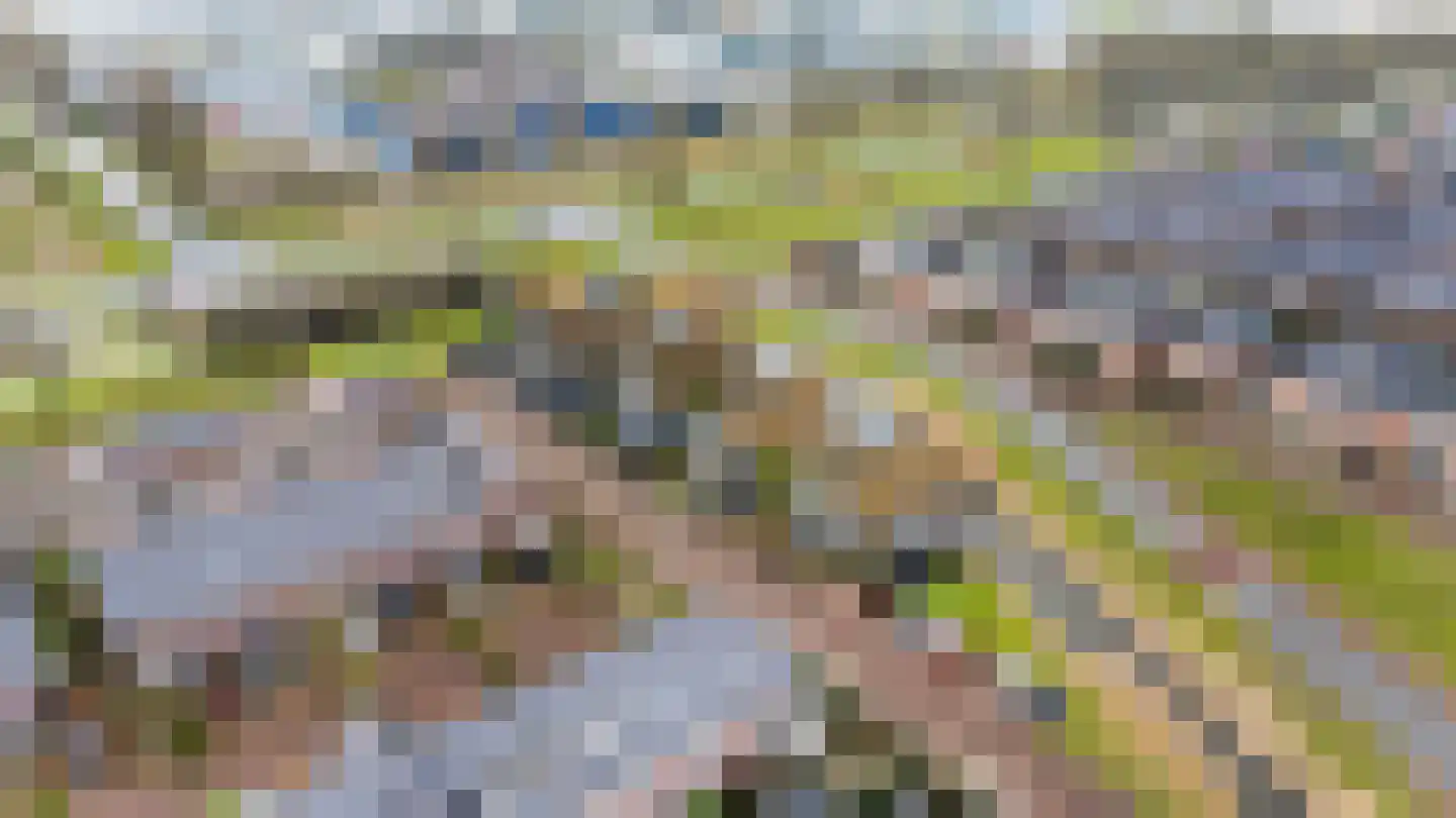 Galjoen 11 58 Lelystad thumbnail 35