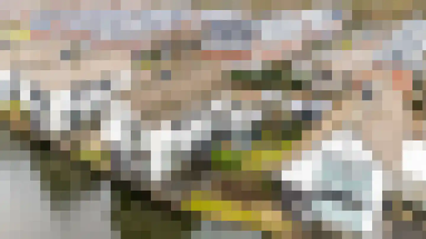 Galjoen 11 58 Lelystad thumbnail 4