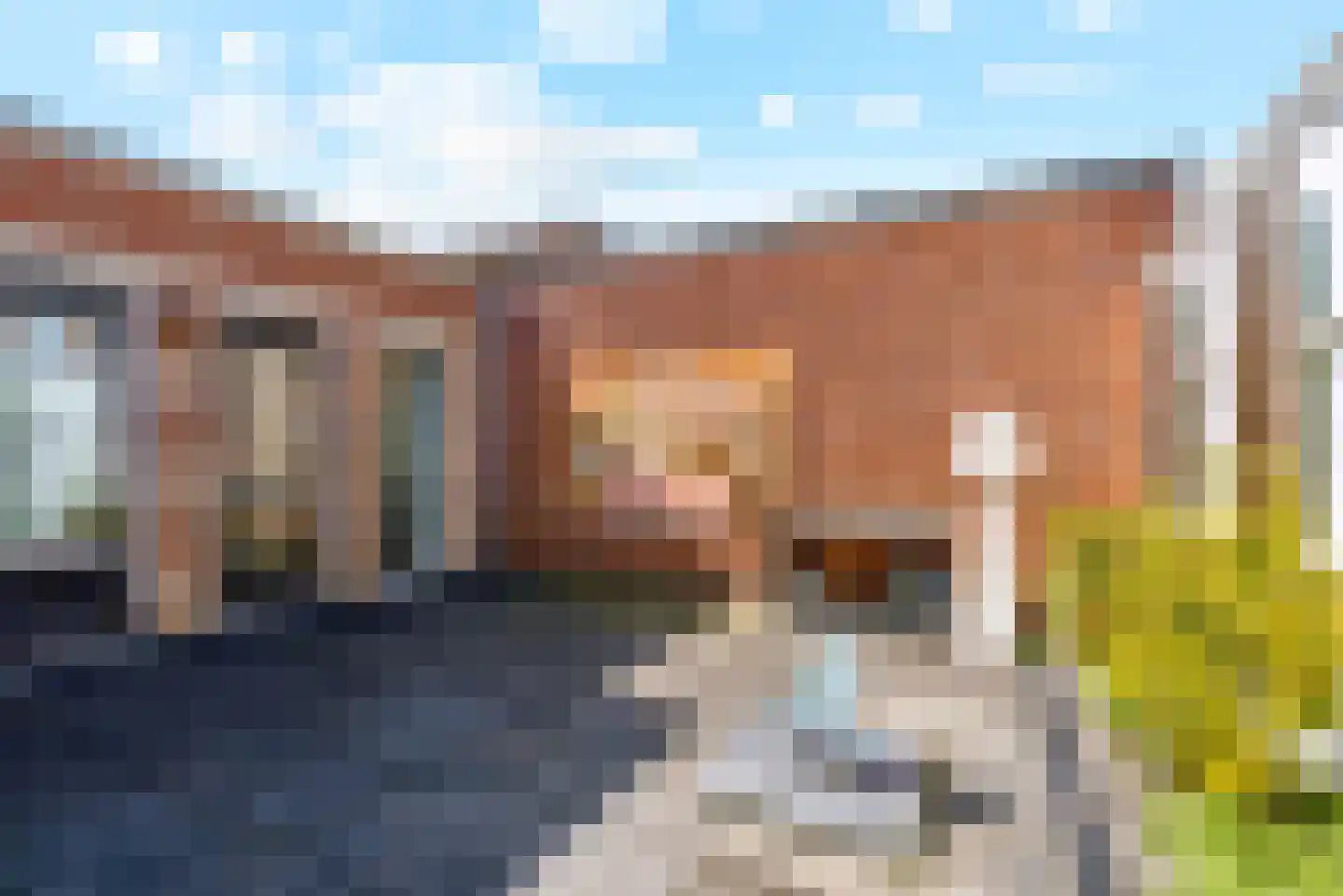 Galjoen 11 63 Lelystad thumbnail 36