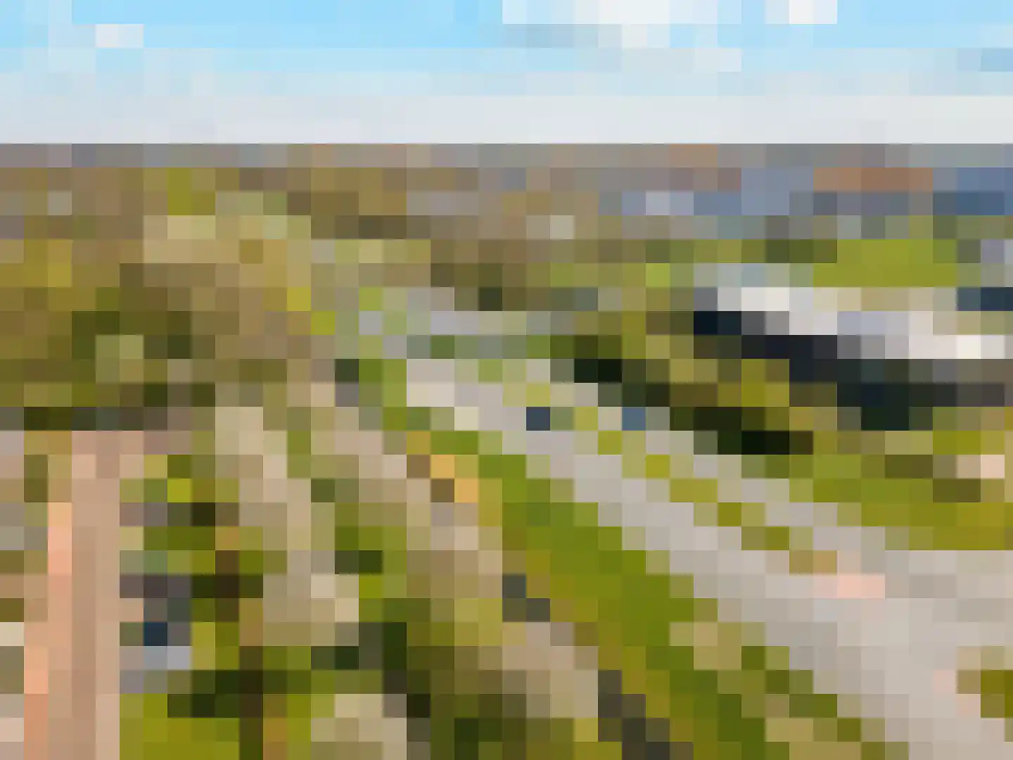 Galjoen 11 63 Lelystad thumbnail 46