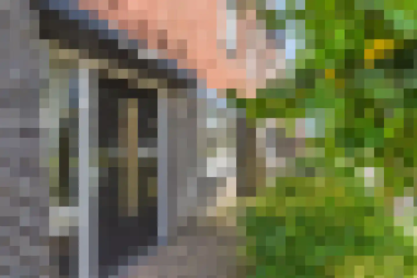 Galjoen 112 Nijkerk thumbnail 11