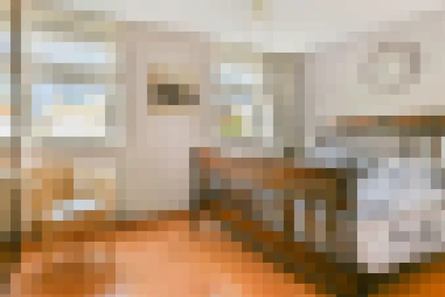 Galjoen 112 Nijkerk thumbnail 21