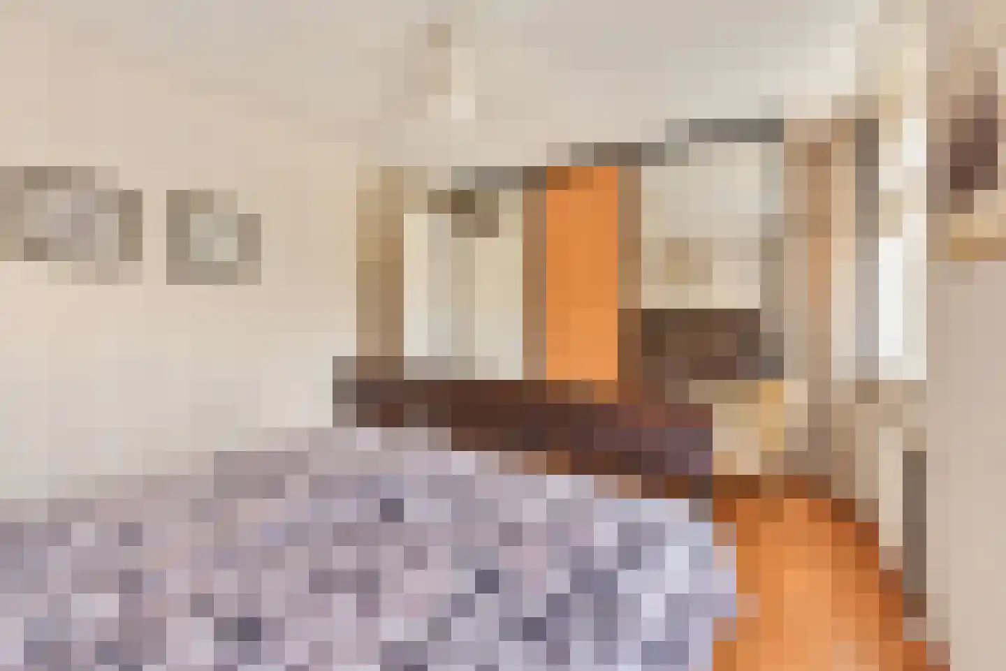 Galjoen 112 Nijkerk thumbnail 22