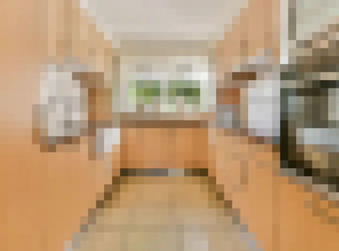 Galjoen 112 Nijkerk thumbnail 5