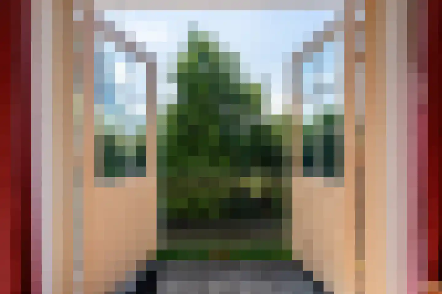Galjoen 12 Zuidhorn thumbnail 30