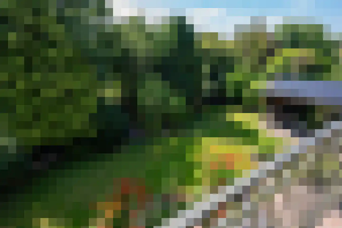 Galjoen 12 Zuidhorn thumbnail 31