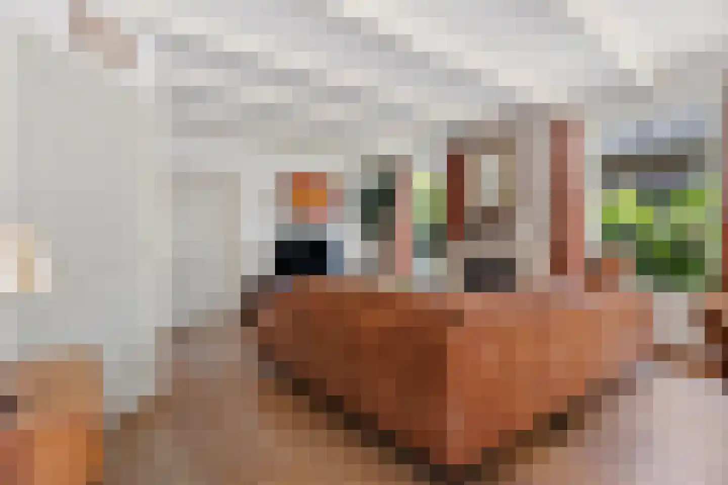 Galjoen 12 Zuidhorn thumbnail 4