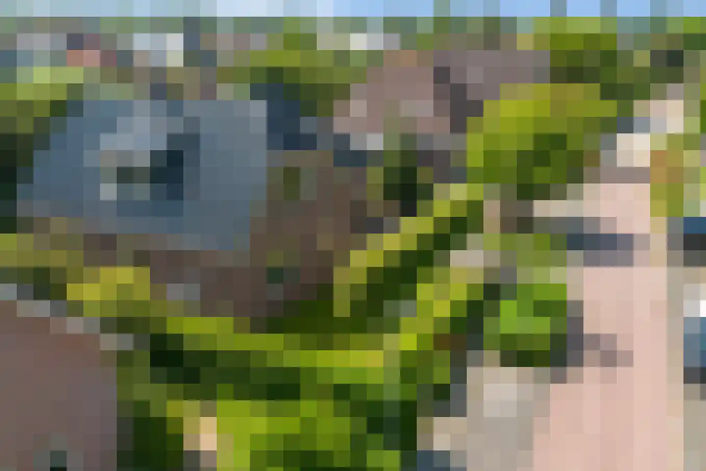Galjoen 12 Zuidhorn thumbnail 50