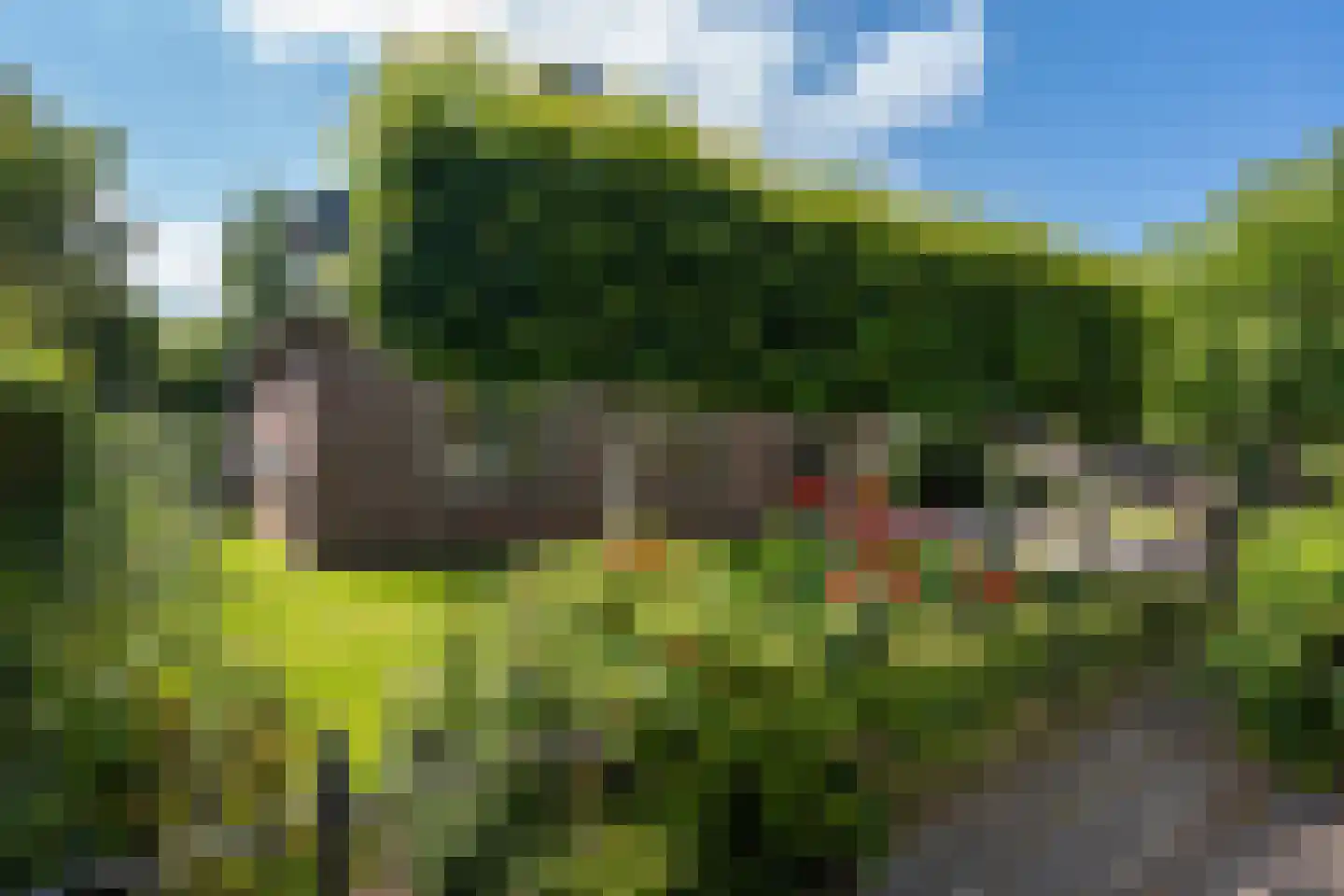 Galjoen 12 Zuidhorn thumbnail 52