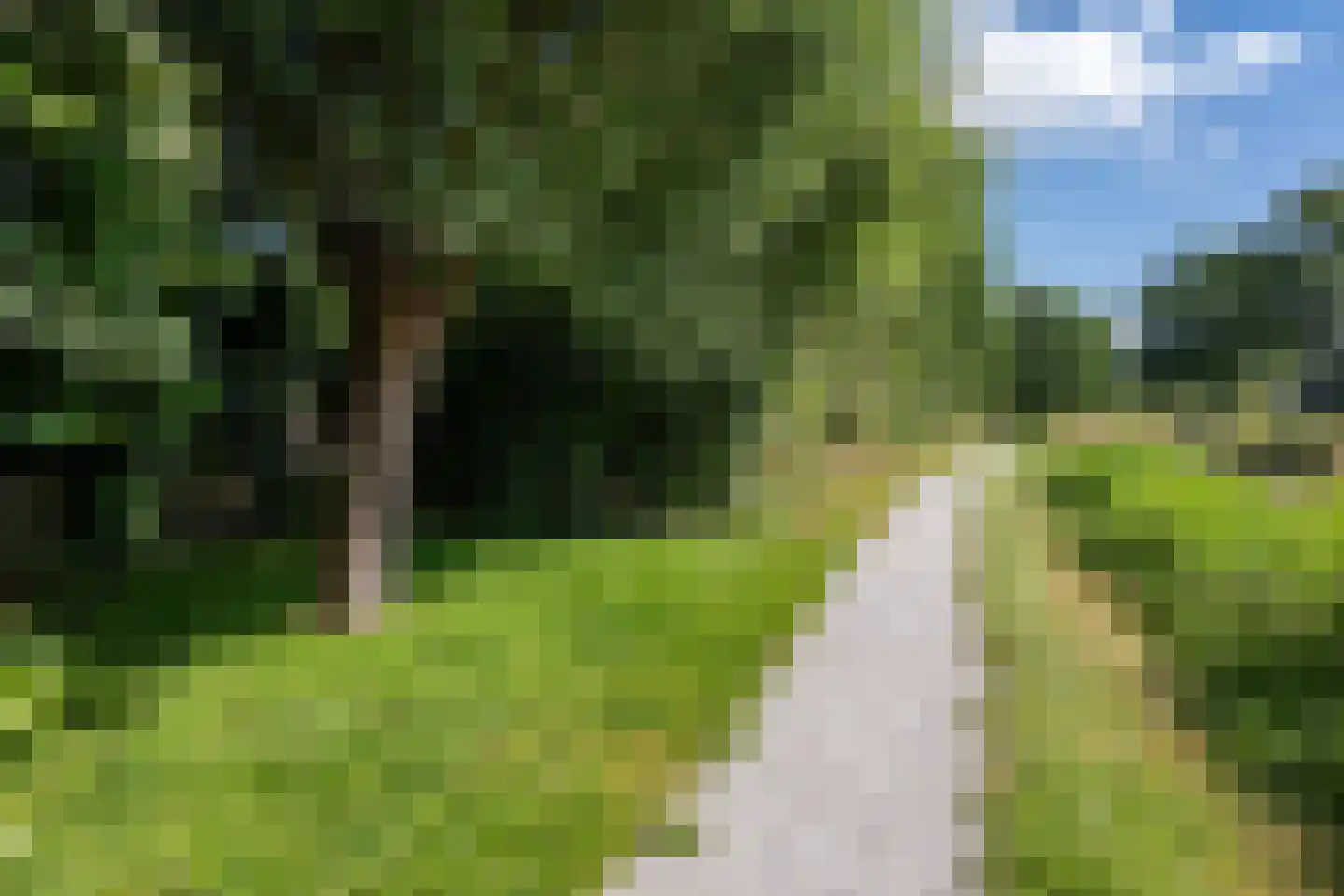 Galjoen 12 Zuidhorn thumbnail 56
