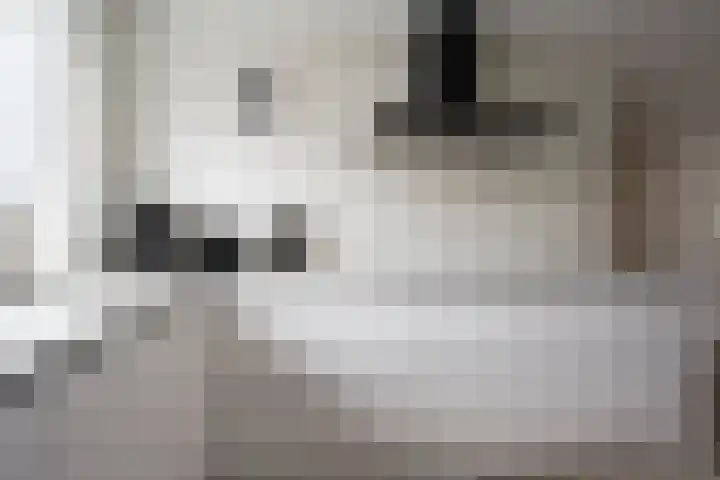 Galjoen 122 Nijkerk thumbnail 10