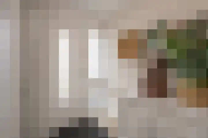 Galjoen 122 Nijkerk thumbnail 12