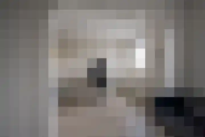 Galjoen 122 Nijkerk thumbnail 19