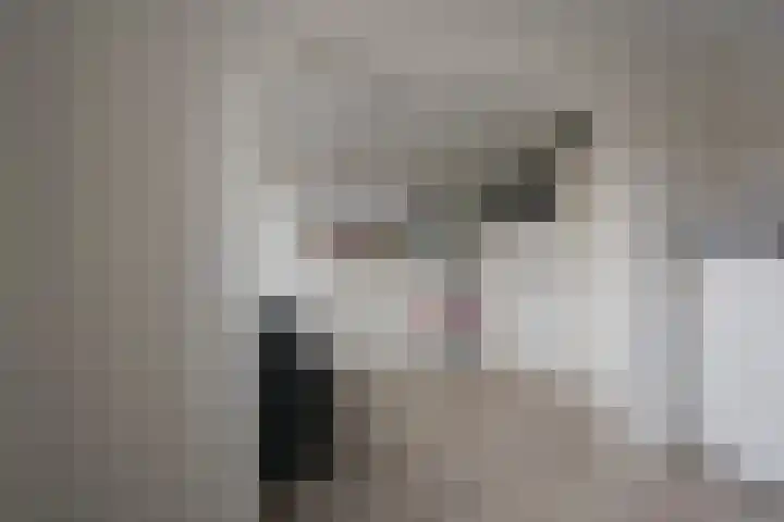 Galjoen 122 Nijkerk thumbnail 21