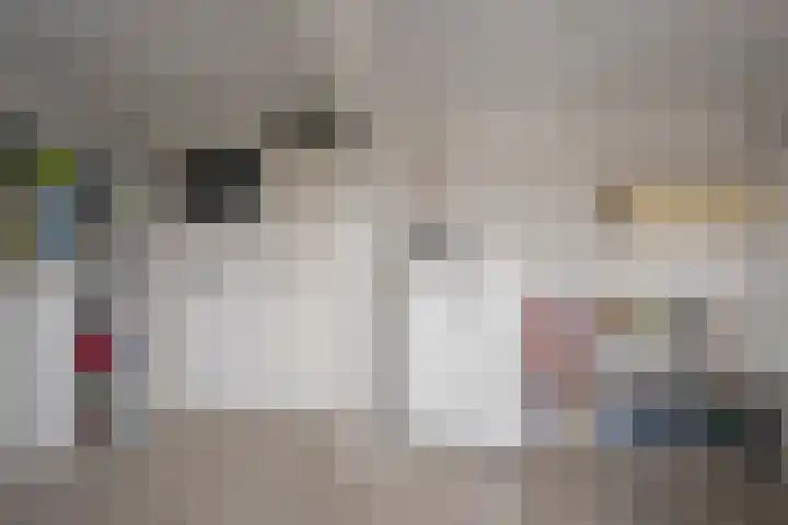 Galjoen 122 Nijkerk thumbnail 22