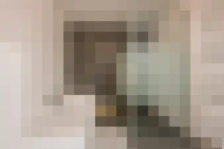 Galjoen 122 Nijkerk thumbnail 24