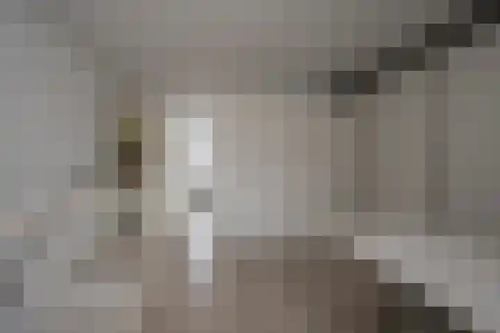 Galjoen 122 Nijkerk thumbnail 25