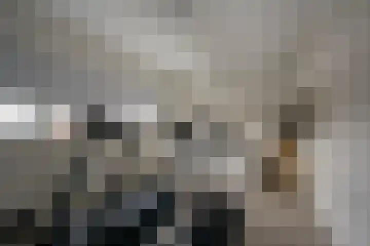 Galjoen 122 Nijkerk thumbnail 26