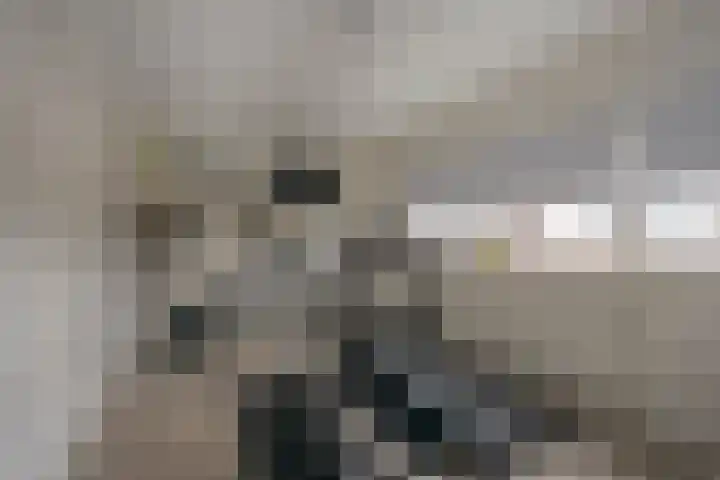 Galjoen 122 Nijkerk thumbnail 27