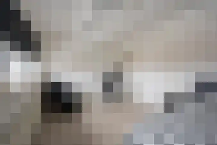 Galjoen 122 Nijkerk thumbnail 29