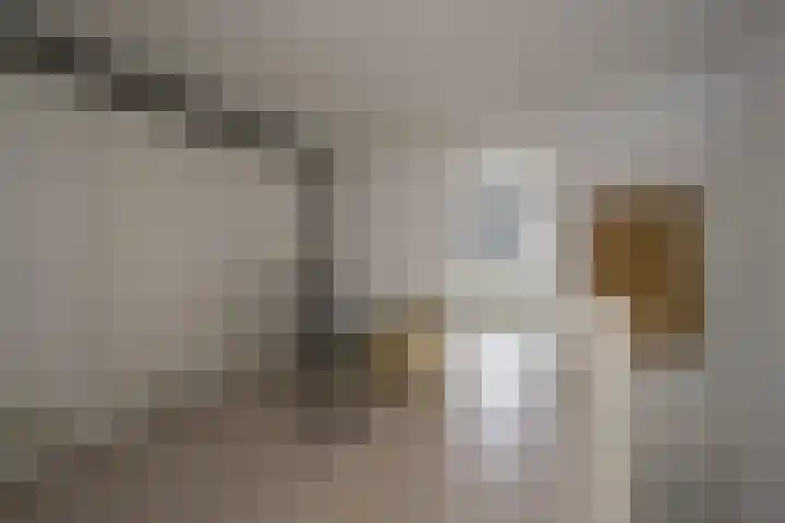 Galjoen 122 Nijkerk thumbnail 30