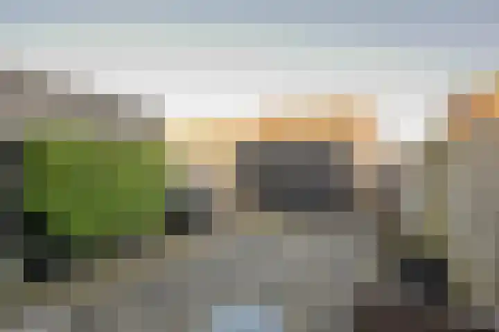 Galjoen 122 Nijkerk thumbnail 31