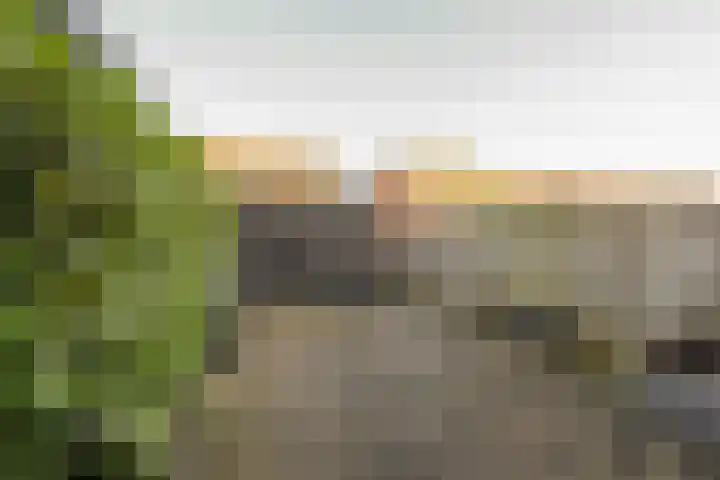 Galjoen 122 Nijkerk thumbnail 32
