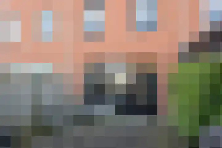 Galjoen 122 Nijkerk thumbnail 33