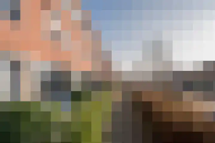 Galjoen 122 Nijkerk thumbnail 37
