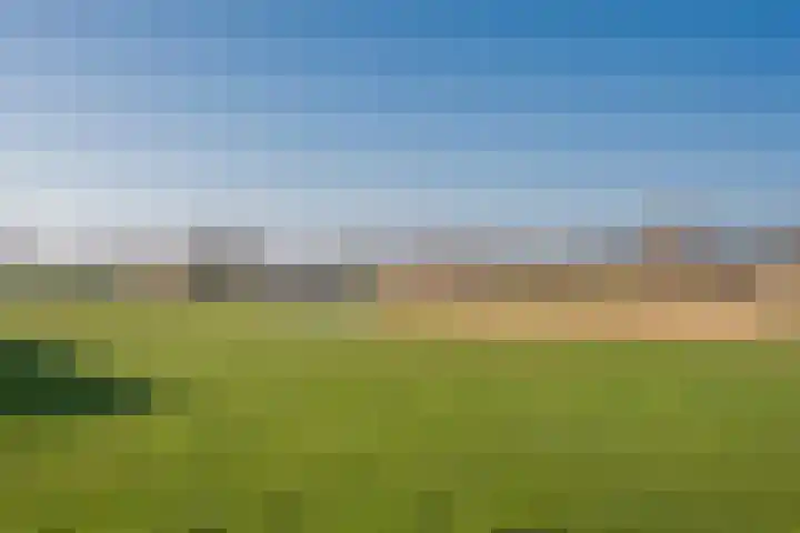Galjoen 122 Nijkerk thumbnail 39