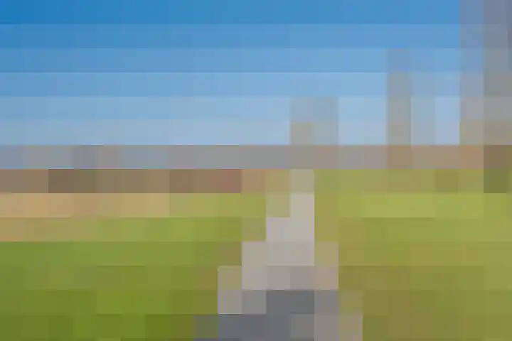 Galjoen 122 Nijkerk thumbnail 40