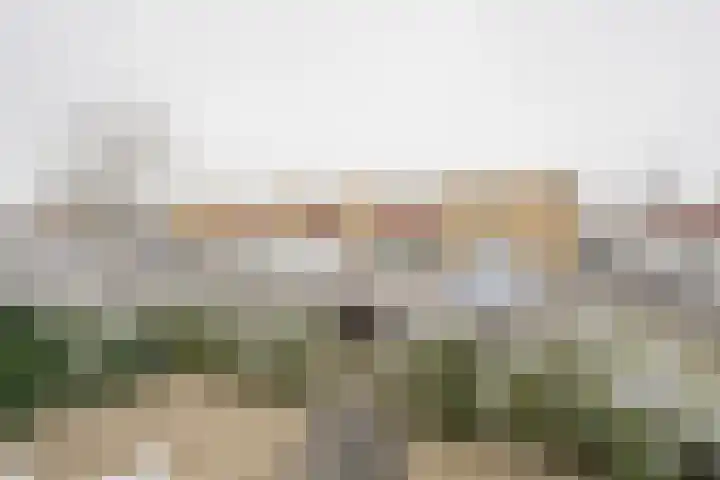 Galjoen 122 Nijkerk thumbnail 41