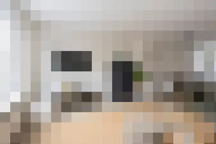 Galjoen 122 Nijkerk thumbnail 5